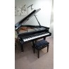 161 pro - Piano 1/4 de queue d'occasion