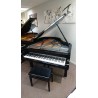 161 pro - Piano 1/4 de queue d'occasion