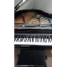 161 pro - Piano 1/4 de queue d'occasion