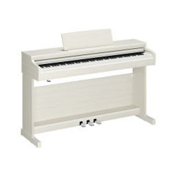Yamaha YDP-166 bouleau blanc piano numérique Yamaha à Lille