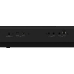 Vue arrière Piano numérique ROLAND FP40BK - Vue connectique