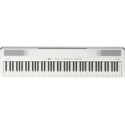 Roland FP-40 | Piano numérique 88 touches Bluetooth - Dispo à Lille